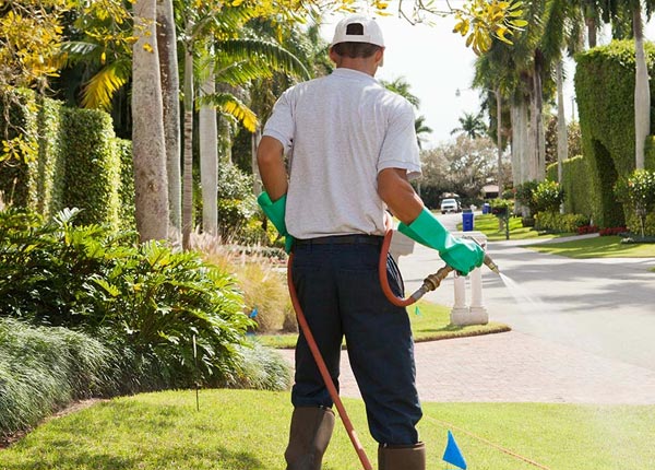 About Keyport WA Pest Control